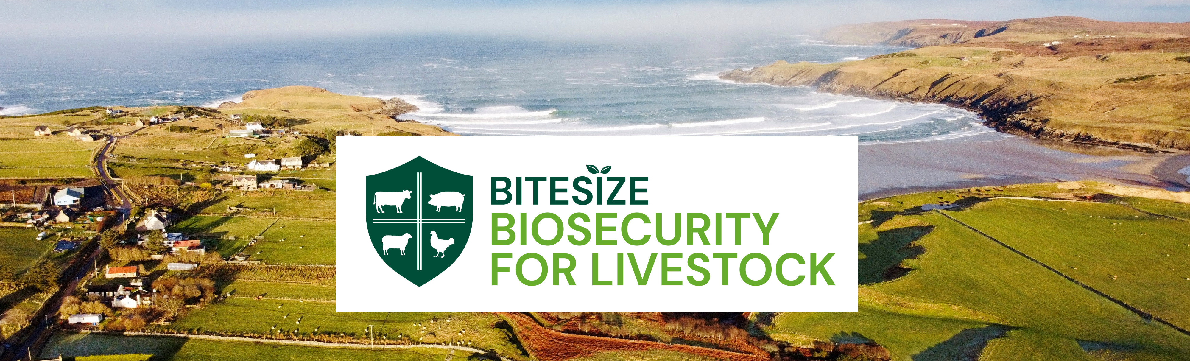 The Bitesize Biosecurity Logo